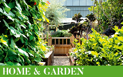 Home & Garden